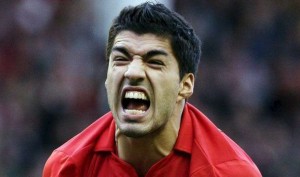 Suarez-animal